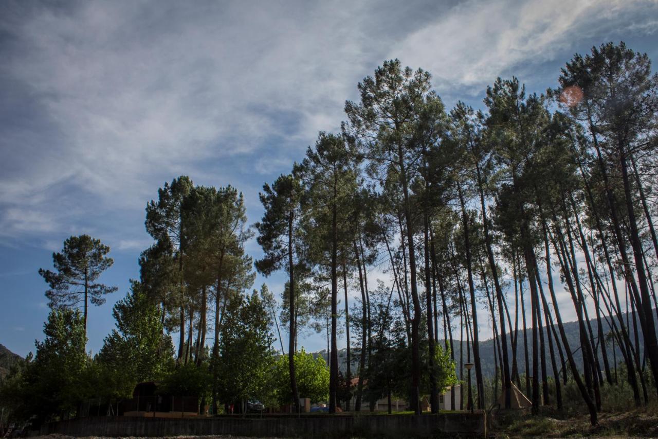 Xisto Camping Janeiro de Baixo Exterior photo
